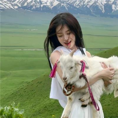 蜗牛的策略