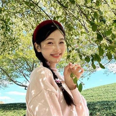 莲花闹海棠